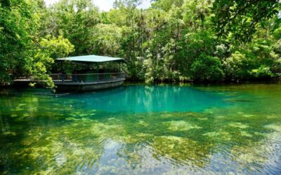 Avon Park, Florida