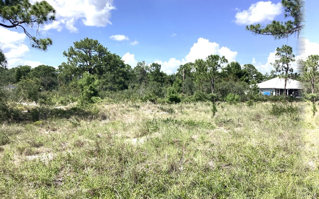 SOLD!!!  3017 Ash Ave Lake Placid, FL 33852