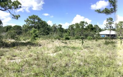 SOLD!!!  3017 Ash Ave Lake Placid, FL 33852