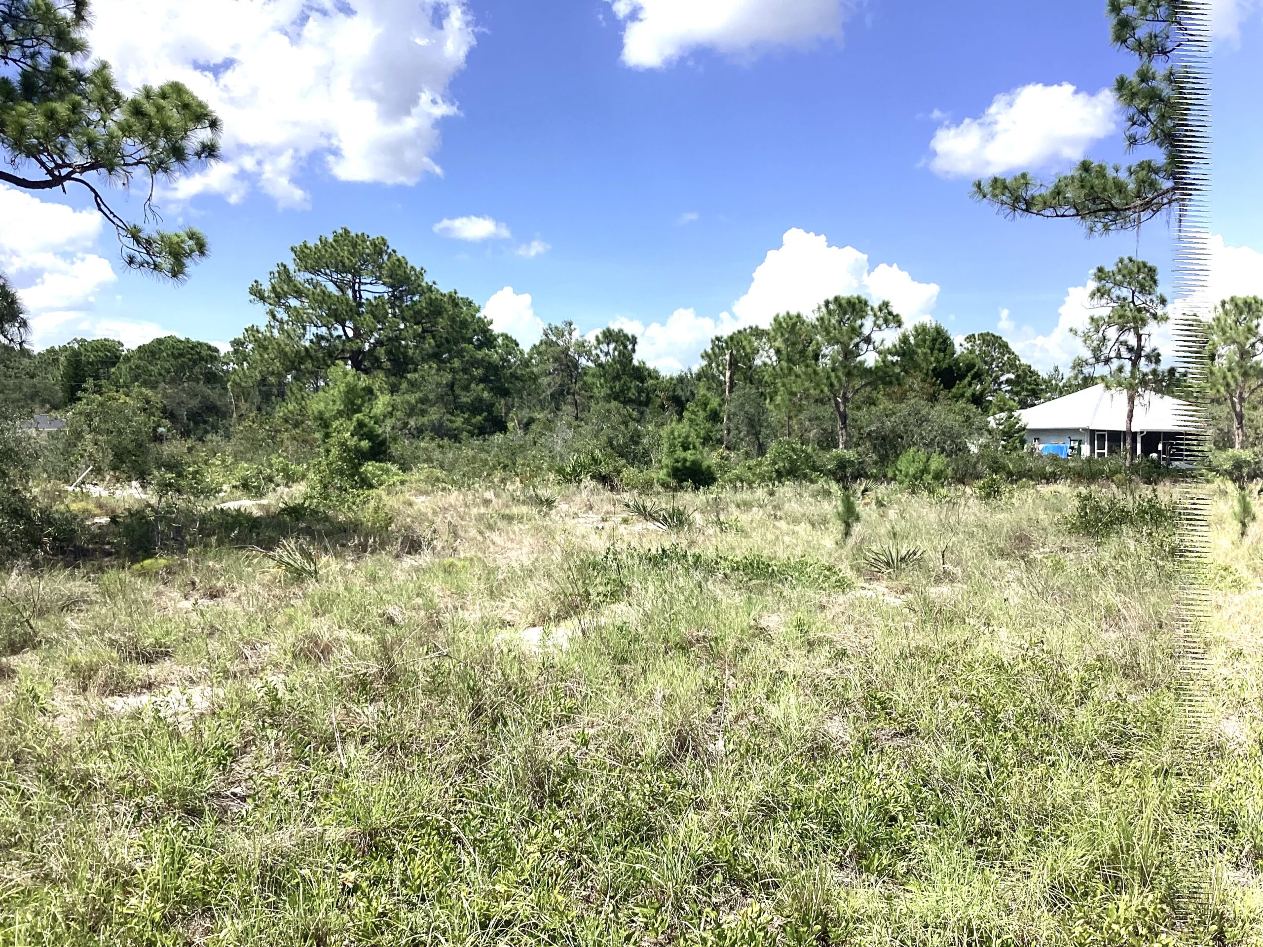 SOLD!!!  3017 Ash Ave Lake Placid, FL 33852