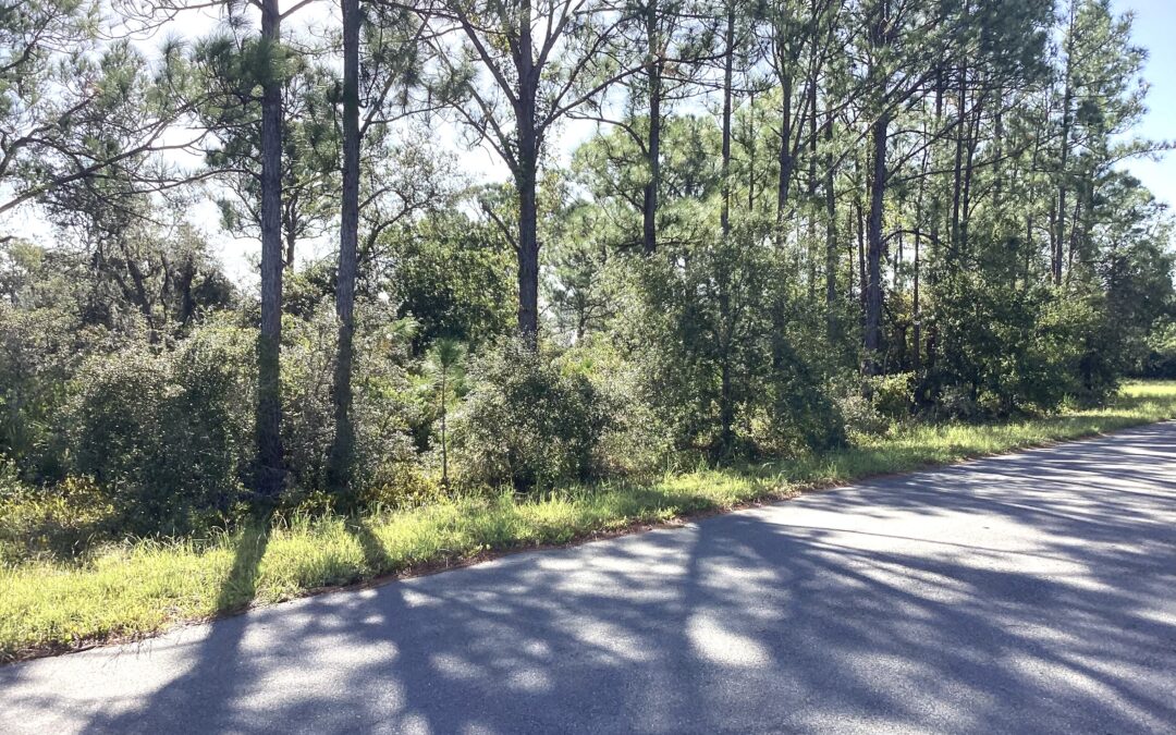 SOLD!!!  118 Wildcat St. NW Lake Placid, FL 33852