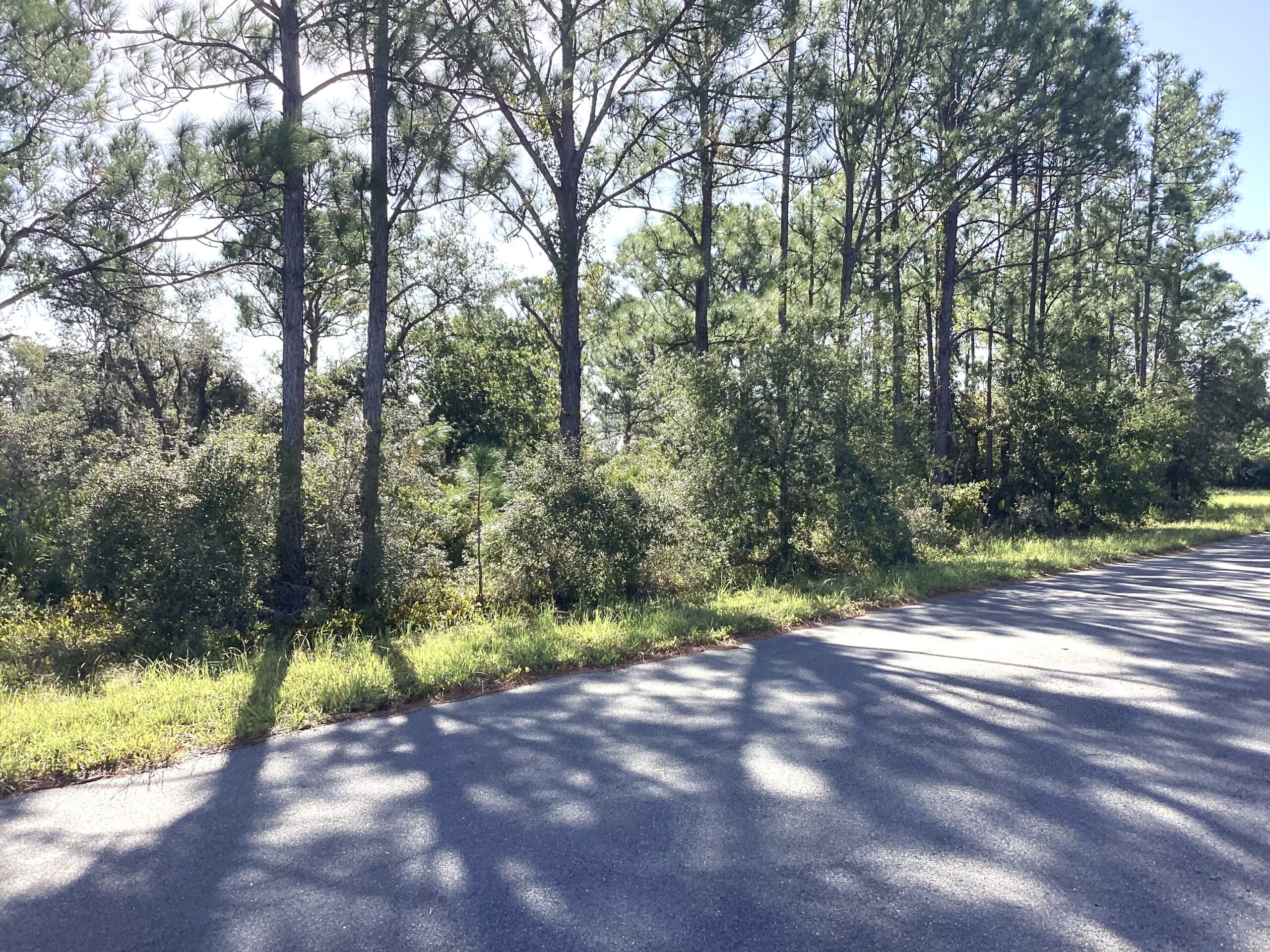 SOLD!!!  118 Wildcat St. NW Lake Placid, FL 33852