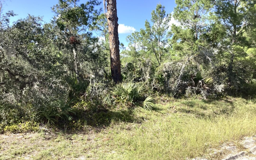 SOLD!!!  119 Grace Avenue NW, Lake Placid, Fl 33852