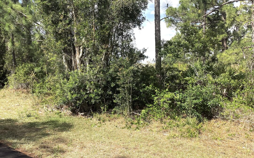 PLACID LAKES LOT!!!NEW LISTING!!!$14,500