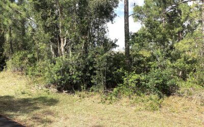 PLACID LAKES LOT!!!NEW LISTING!!!$14,500