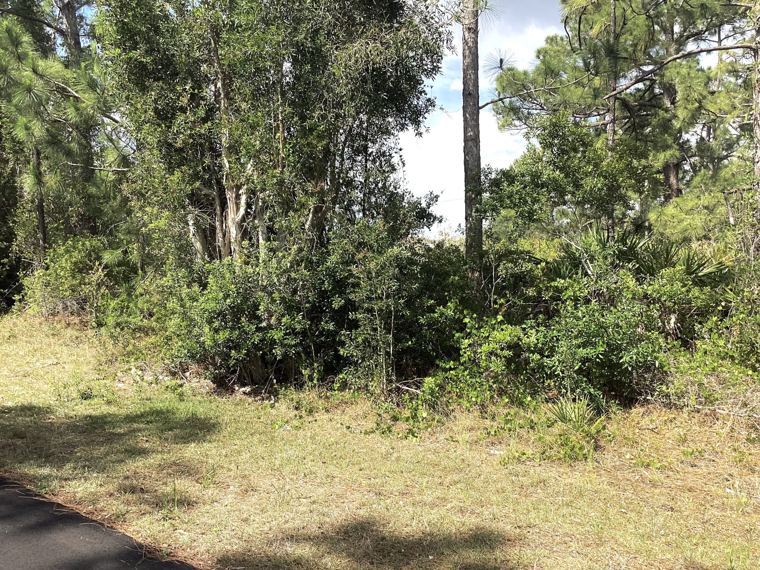 PLACID LAKES LOT!!!NEW LISTING!!!$14,500