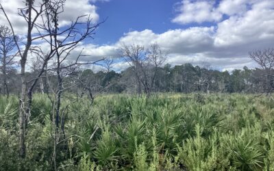 3521 Santona Dr Lake Placid