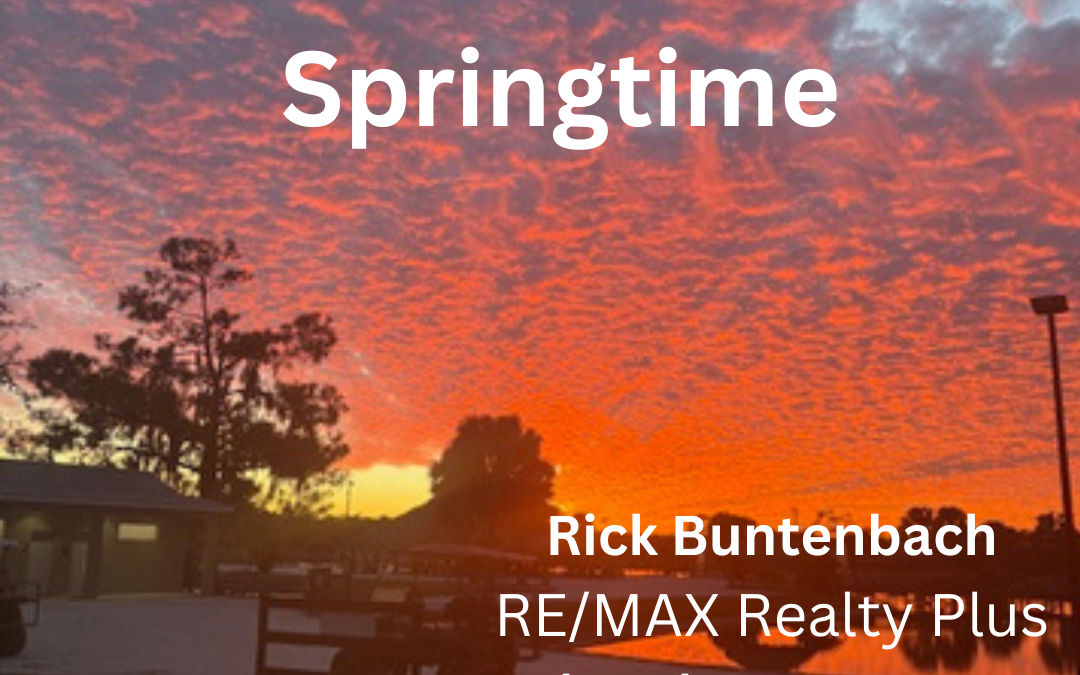 #SebringHomesforsale